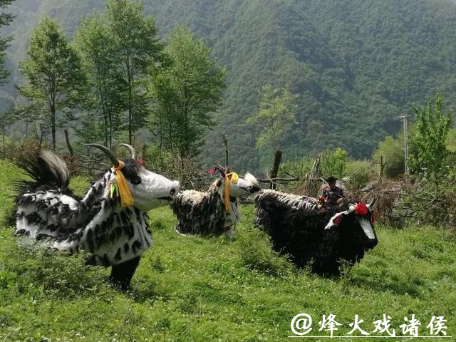 非遗四川 ｜平武虎牙藏族斗牦牛