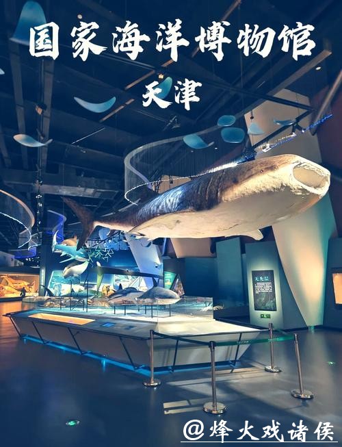 穿越46亿年 《重返海洋》科学艺术展在国家海洋博物馆启幕