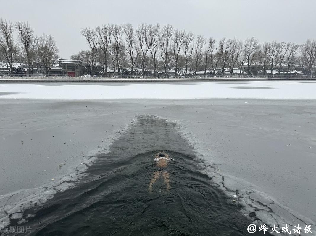 雪中游泳,不亦乐乎 雪中游泳,不亦乐乎